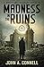 Madness in the Ruins: A Mason Collins Crime Thriller (previously entitled Ruins of War)