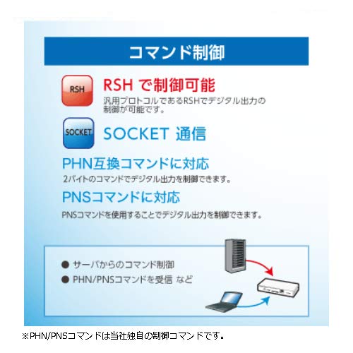 Diagram showing RSH and SOCKET command control capabilities