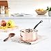 Mauviel 6450.17 Saucepan with Lid. 1.7L/1.9 quart 16cm/6.3