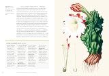 Kew - Parched: 50 Plants That Thrive and Survive in a Dry Garden