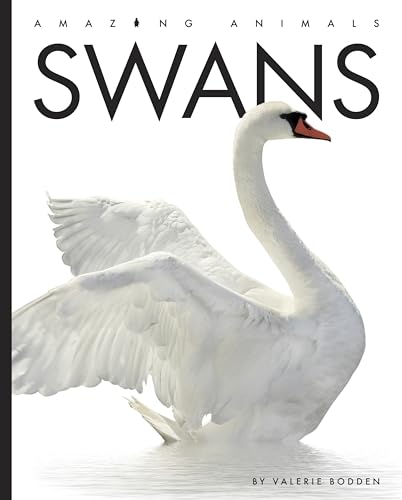 Swans (Amazing Animals)