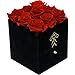 Premium Roses| Real Roses That Last a Year | Fresh Flowers| Roses in a Box (Black Box, Small)