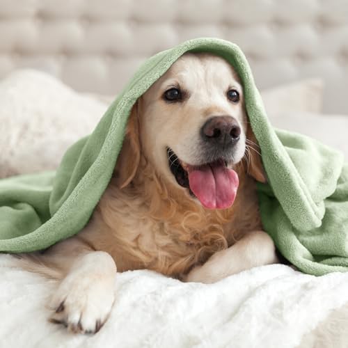 Image of BEDELITE Fleece Blanket Twin Size Sage Grey Green Throw Blankets for Couch & Bed, Luxury Plush Cozy Fuzzy Blanket 60x80 inches, Super Soft Warm Lightweight Throw Blanket for Travel Camping
