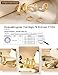 LOLIAS Small Chunky Hoop Earrings for Women, Non-Tarnish, Hypoallergenic, Huggie Silver Earring Stacks Set for Sensitive Ears, Multiple Piercing Jewelry, Lightweight, Classic 14K Gold Plated, 3 Pairs