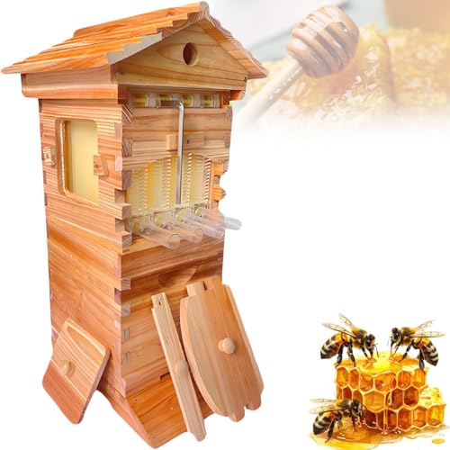 Kit de démarrage de ruche pour l'apiculture sans piqûre ni stress