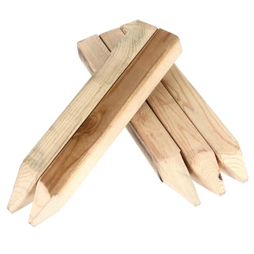 Anneome ؐtFXY 5{Zbg ̃tFXpEY ݑʂёƌ ό󐫂ɗǂ\Ɗ炩Ȏdグgp\