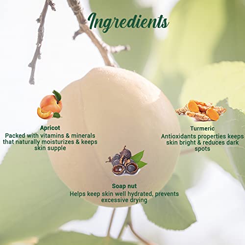 Biotique Apricot Refreshing Body Wash | Keeps Skin Fresh and Clean | Brightens Skin and Reducing Dark Spots | 100% Botanical Extracts | Suitable for All Skin Types | 200ml - Image 4