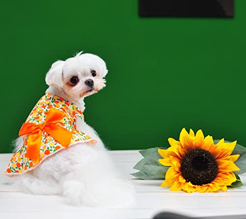 Petroom Pet Dogs Dresses For Small Dogs Puppy Clothes Cat Outfit Apparel Female For Yorkie(Lemon L) #TOP5