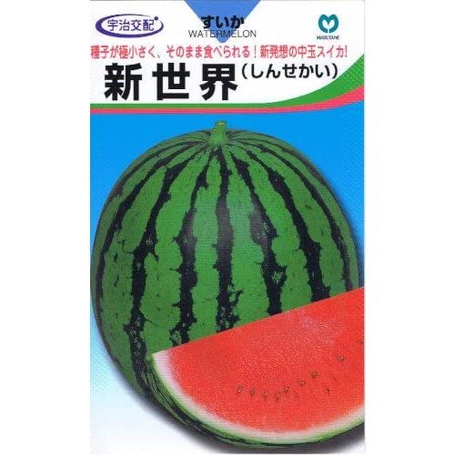 スイカ種 Amazon.co.jp: 大玉スイカ 種子 クールチャージ潤（じゅん） 5粒