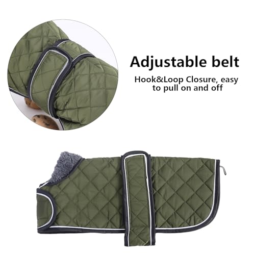 MOREZI Hundemantel Winter für Dackel - Wasserdichter Hunde Pullover mit Wolle Futter & Verstellbaren Gurten, Warmer Wintermantel für Kleine Hunde im Freien-Grün-M