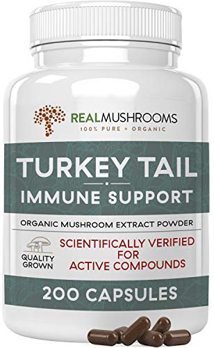 Real Mushrooms Turkey Tail Mushroom Supplements for Immune Support, Wellness, Vitality | Vegan, Non-GMO Turkey Tail Capsules (200 Capsules / 100 Day Supply)