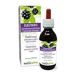 Naturalma Eleuthero or Siberian Ginseng (Eleutherococcus senticosus) Root Alcohol-Free Tincture - 4 fl oz Liquid Extract in Drops - Herbal Supplement - Vegan
