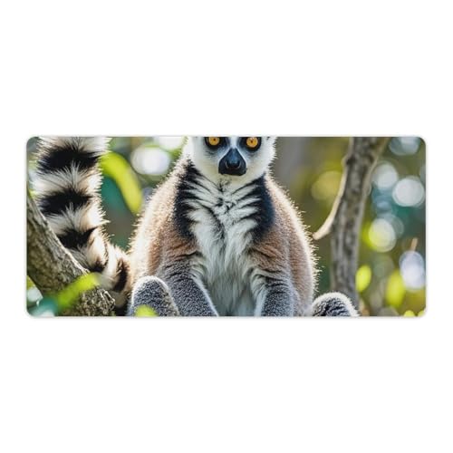 Ringtailed Lemur �f�X�N�}�b�g ����~�� ��^�f�X�N�p�b�h �v���e�N�^�[ �m�[�g�p�\�R���}�b�g �L�[�{�[�h�ƃ}�E�X�p �f�X�N���C�e�B���O�p�b�h �f�X�N�̐����ƃA�N�Z�T���[ �I�t�B�X�⎩��p