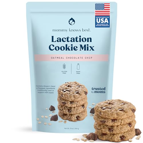 Image of Lactation Cookies Mix - Gluten Free and Dairy Free Oatmeal Breastfeeding Cookie Supplement Support for Breast Milk Supply Increase (Chocolate Chip, 1 Pound)