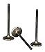 Wiseco VES038 Premium Stainless Steel Exhaust Valve