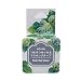 Bande Masking Roll Sticker Masking Tape Green Leaf for Scrapbooking DIY (BDA221)