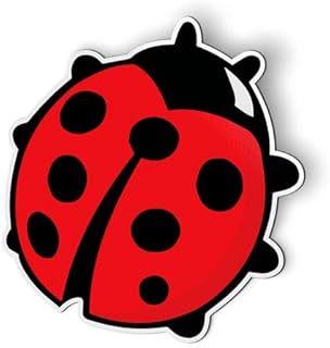 Ladybug Cute - Magnet - Car Fridge Locker - 5"