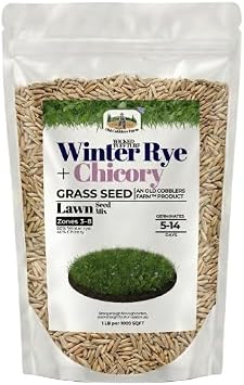 Old Cobblers FarmTM Winter Rye + Chicory Seed Mix 60/40 Blend for Wildlife Plots, Soil Health & No-Till Cover Cropping Drought & Frost Resistant, Cool Season Growth 20 lbs