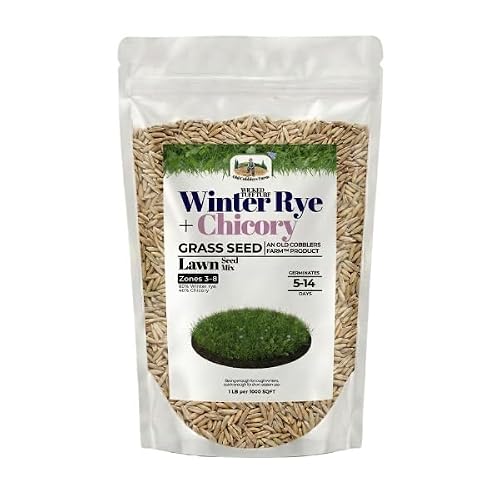 Old Cobblers Farm Rye Chicory seed image