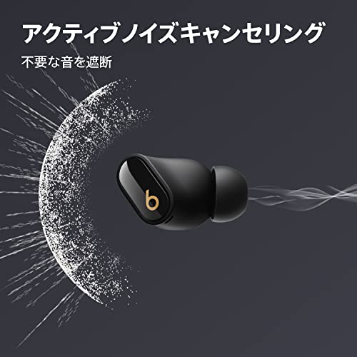 Beats Studio Buds + 商品画像2