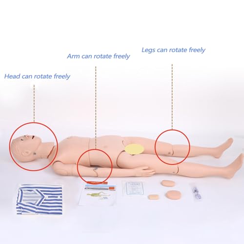 Image of Medical Mannequin for Training, CPR Human Manikins Patient Care Nursing Medical Manikin Nurse Skills Wound Demonstration with 3 Muscle Module for Nursing Training Teaching and Practice (Full)