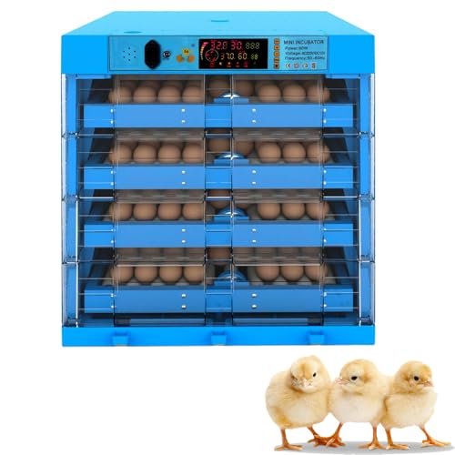 360 gradi View Digital Circulated Air Incubator per cova pollo, anatra e uova di uccelli