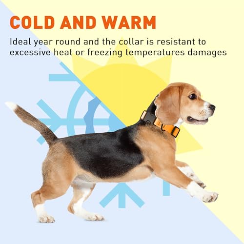 Image of Dogline Biothane Waterproof Dog Collar with Quick Release Buckle Strong Coated Nylon Webbing with Odor- Proof for Easy Care Easy to Clean Fits Small Medium Large Dogs, Tangerine Orange 3 /4 inch W 12-19 inch L