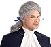 Forum Novelties 64885 Historical Wig, Grey