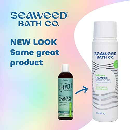 Seaweed Bath Co. Balance Shampoo, Eucalyptus Peppermint Scent, 12 Ounce, Sustainably Harvested Seaweed, Pro Vitamin B5, For Normal To Oily Hair #TOP1