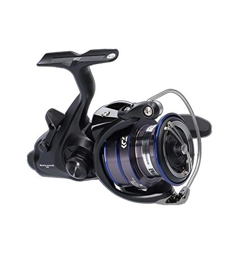3000 or 4000 reel surf fishing light tackle Okuma Flite Surf Spinning Reel