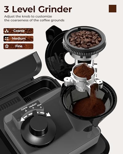 avigator 10 Cup Grind and Brew