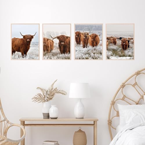 Insire-Highland-Cow-Picture-Wall-Art-Highland-Cow-Poster-Unframed-8×10 Insire Highland Cow Picture Wall Art Highland Cow Poster Unframed 8×10