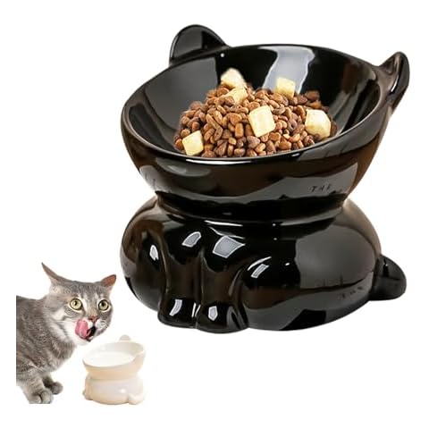 Elevated Cat Bowls, 15° Tilted Raised Cat Food Bowl Anti-Vomiting,Whisker Friendly, Cat Dishes for Protecting Spine (Black) Cover