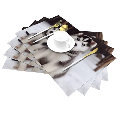 Sets de table faciles à nettoyer pour éliminer les taches de nourriture