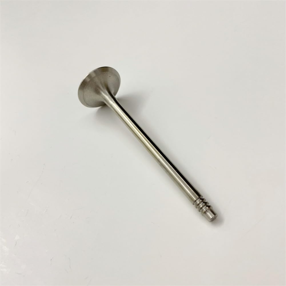 11348621264 Exhaust Valve AUTO-GETHER