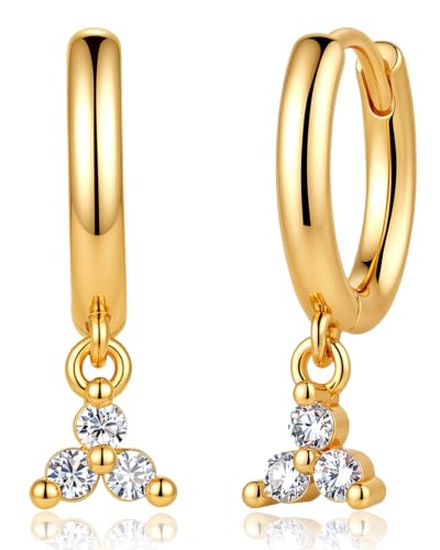 Moissanite Earrings for women Moissanite Hoop Earrings with D Color VVS1