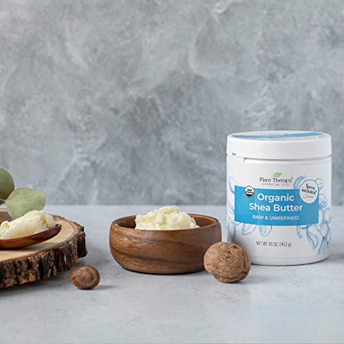Plant Therapy Organic African Shea Butter Raw, Unrefined Usda Certified 16 Oz Jar For Body, Face & Hair 100% Pure, Natural Moisturizer, Best For Diys Like Lotion, Cream, Lip Balm And Soap #TOP6