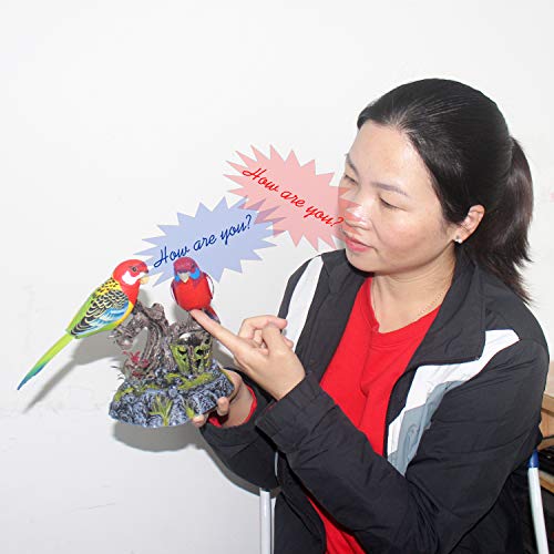Tipmant Eelctric Birds Talking Parrots Electronic Pets Office Home Decoration Recording & Playback Function, Pen Holders Kids Toys #TOP1
