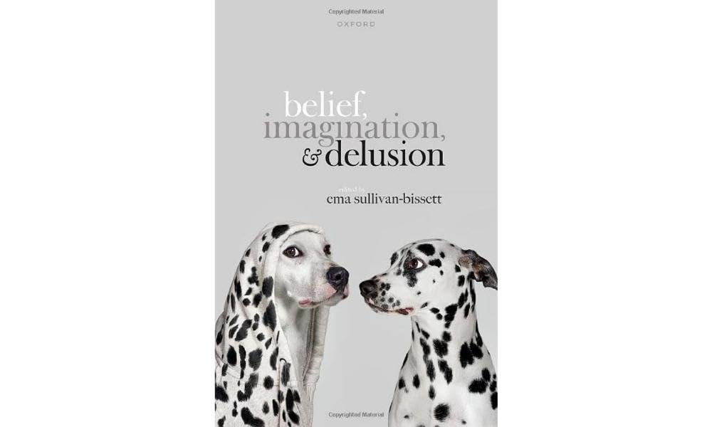 Belief, Imagination, and Delusion (Hardback Book)