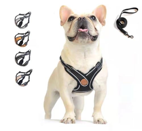 Cicqkks 犬 ハーネス リードセット 小型犬 中型犬 牽引ロープ 胴輪 ドッグウエア 反射光ストリップ付き メッシュ おしゃれ 調節可能 お散歩 着脱簡単 (グレー)