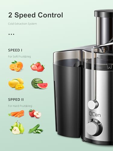 QCen Entsafter, Zentrifugal-Entsafter mit 3-Zoll-Einfüllschacht, leicht zu reinigen, Edelstahl, BPA-frei, ideal für Obst und Gemüse (Sliver, 800W) – Bild 4