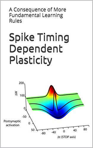 Amazon.com: Spike Timing Dependent Plasticity: A Consequence of More ...