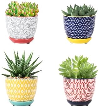 Selamica Ceramic Succulent Pots with Drainage Holes, Small Flower...