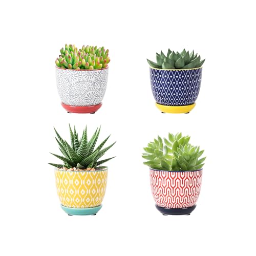 Selamica Ceramic Succulent Pots with Drainage Holes, Small Flower...
