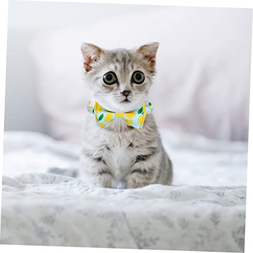 Collar pañuelo para gatos ajustable con cascabel antirperdida diseño frutal 4