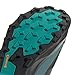 Adidas Men's Terrex Skychaser AX5 Gore-TEX Hiking, Black/Carbon/Pure Teal, 10