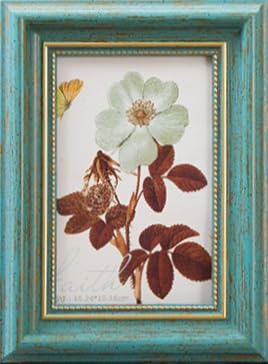 ʐ^  L AeB[N Be[W Ǌ|  u|p cp tHgt[ z([sAt[ LTCY t`u[)