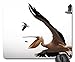 Cojín de ratón fresco hermoso del pájaro, pelícano que coge un pez volador Cojín de ratón, cojín de ratón