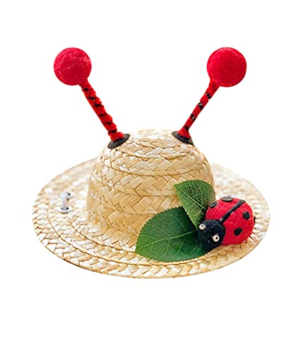 Pet Cat Dog Straw Hat Sombrero Pet Birthday Hat Pet Sun Cap Dog Funny Hat Cat Funny Hat for Crossdress Photo Props Teddy Bichon Puppy Headwear Bee Ladybug