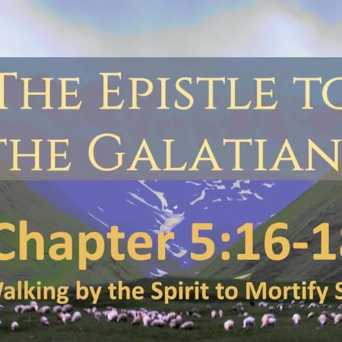 Episode 268: Gal. 5:16-18, The Spirit & the Flesh, 8.31.25 cover art